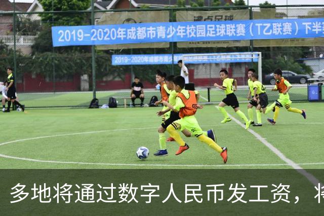 多地将通过数字人民币发工资，将可打击使用数字人民币的犯罪