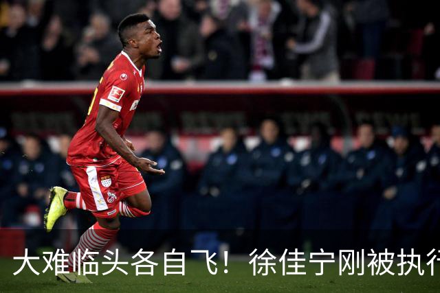 大难临头各自飞！徐佳宁刚被执行2111万，李小冉就和他划清界限