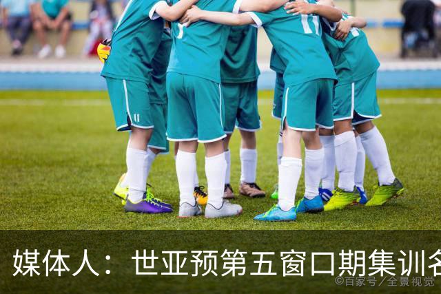 媒体人：世亚预第五窗口期集训名单已定，祝福他们