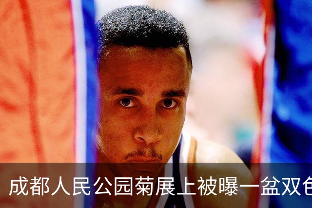 成都人民公园菊展上被曝一盆双色菊花丢失