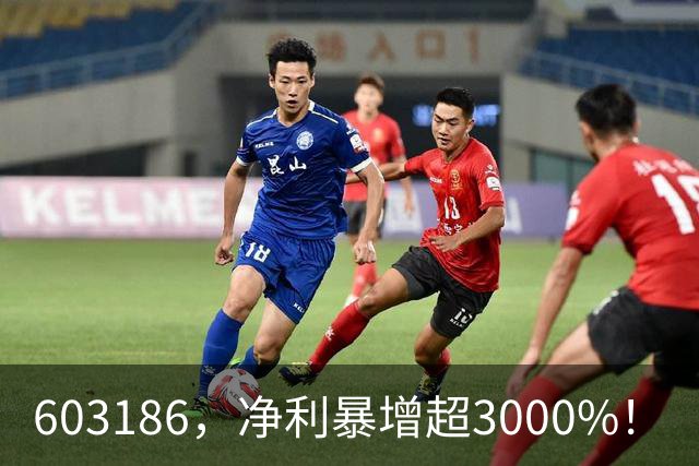 603186，净利暴增超3000%！