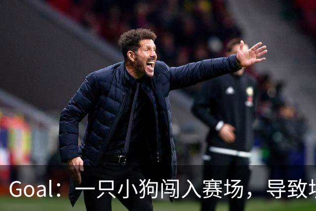 Goal：一只小狗闯入赛场，导致埃及联赛中断